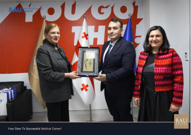 გაცნობითი ვიზიტი