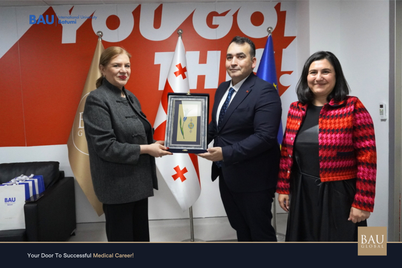 გაცნობითი ვიზიტი